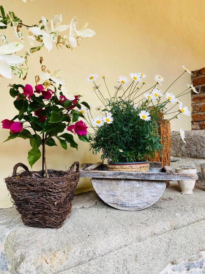 Dobre Casy - Studio I. Banska Stiavnica Bagian luar foto